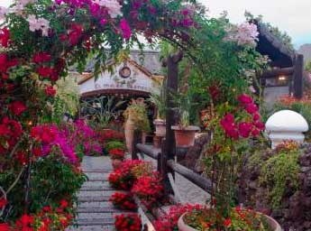 Special Events Special Events